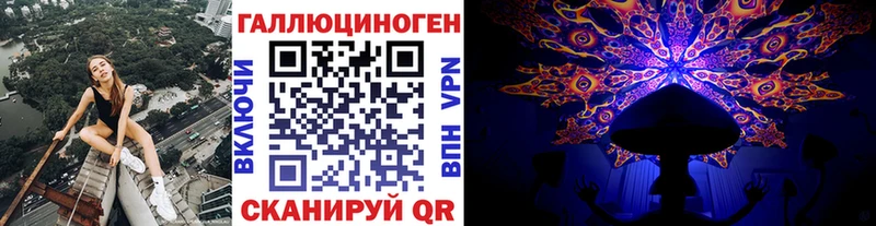 Купить где  Озёры  Псилоцибиновые грибы прущие грибы 